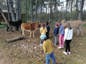 familles (4)